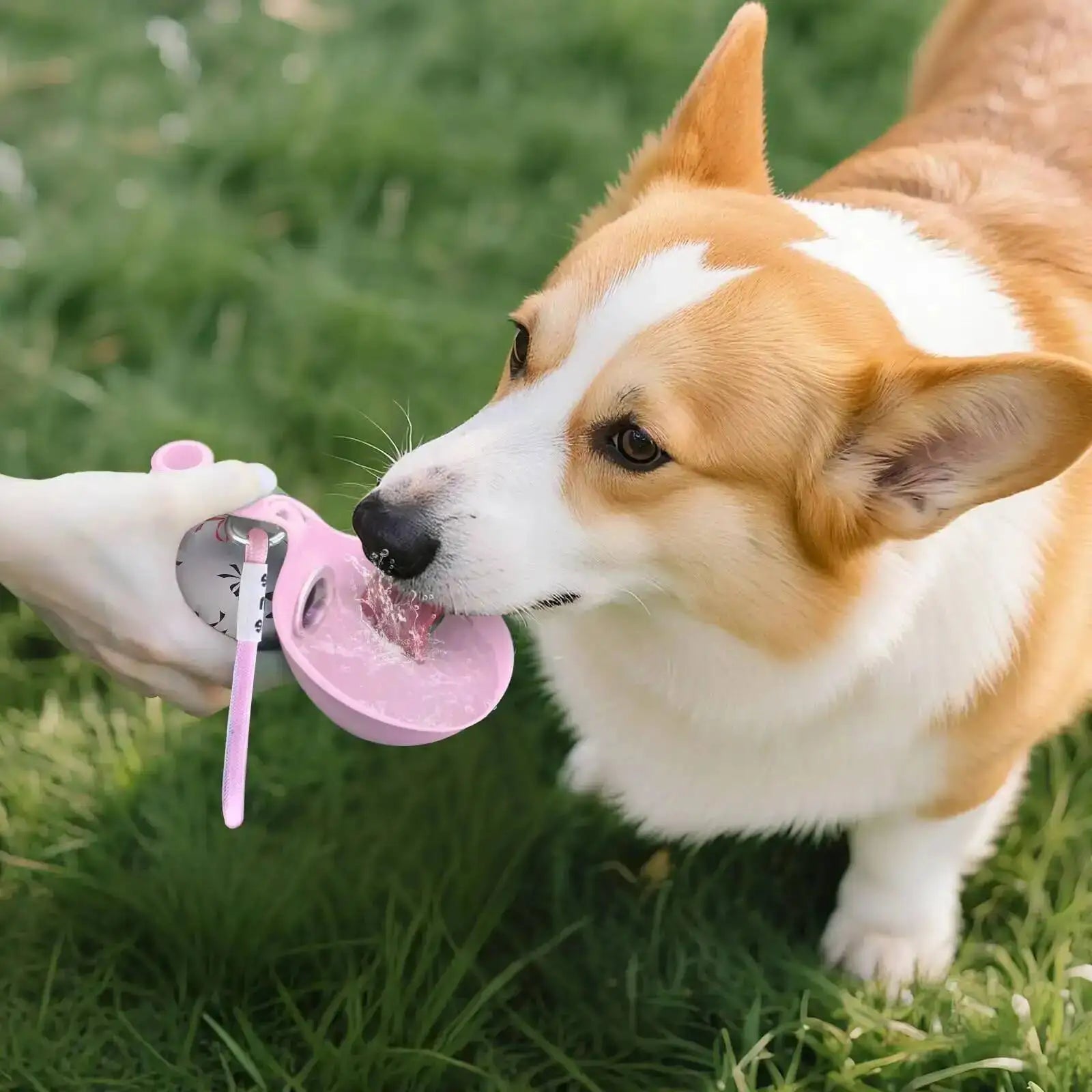 Pocket Pup Hydration Travel Bottle